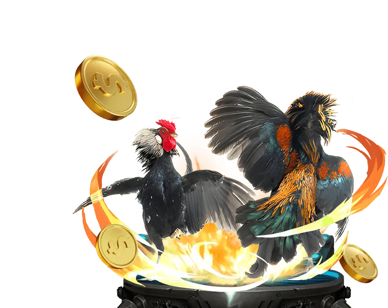 Hỗ trợ câu hỏi thường gặp fiv88 casino